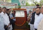 JMI Plants 101 Mango Trees for ‘Maa Vatika’ on World Environment Day