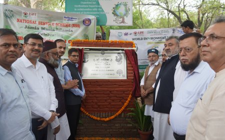 JMI Plants 101 Mango Trees for ‘Maa Vatika’ on World Environment Day